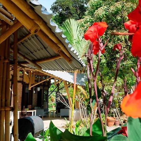 Bamboo Cottage Langkawi Pantai Cenang  Bagian luar foto